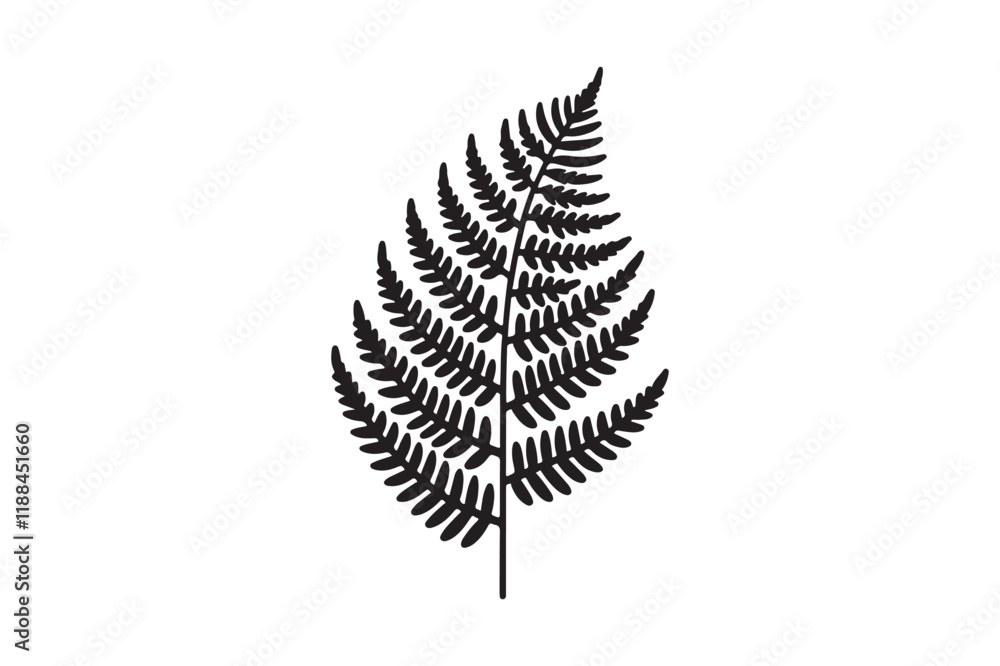 A black and white silhouette of a fern leaf A black and white silhouette of a fern leaf
