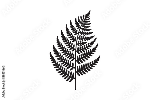 A black and white silhouette of a fern leaf 