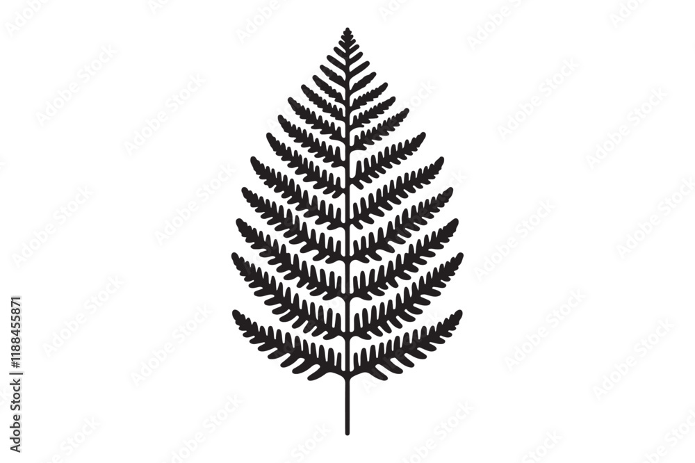 A black and white silhouette of a fern leaf A black and white silhouette of a fern leaf