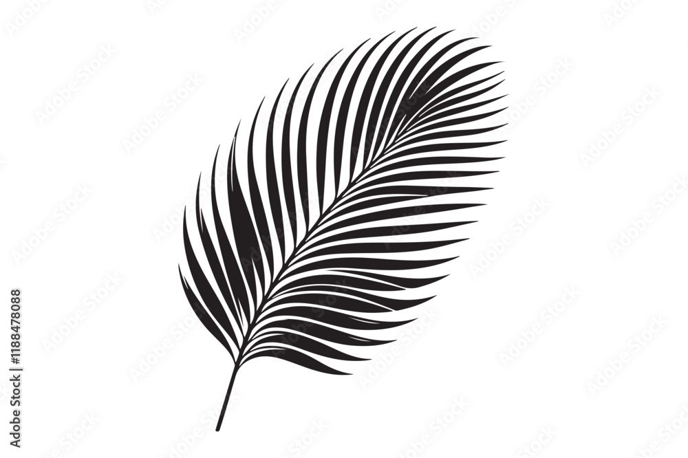 Obraz premium A Palm Tree Leaf Silhouette vector 