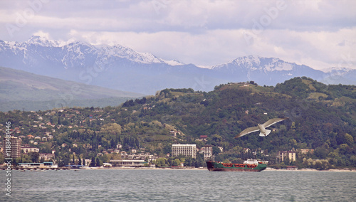 Φωτογραφία Coastline of Sukhumi - the main city of Abkhazia