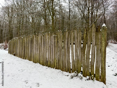 Limes Grenzwall am Römerkastell in Saalburg (Hessen) photo