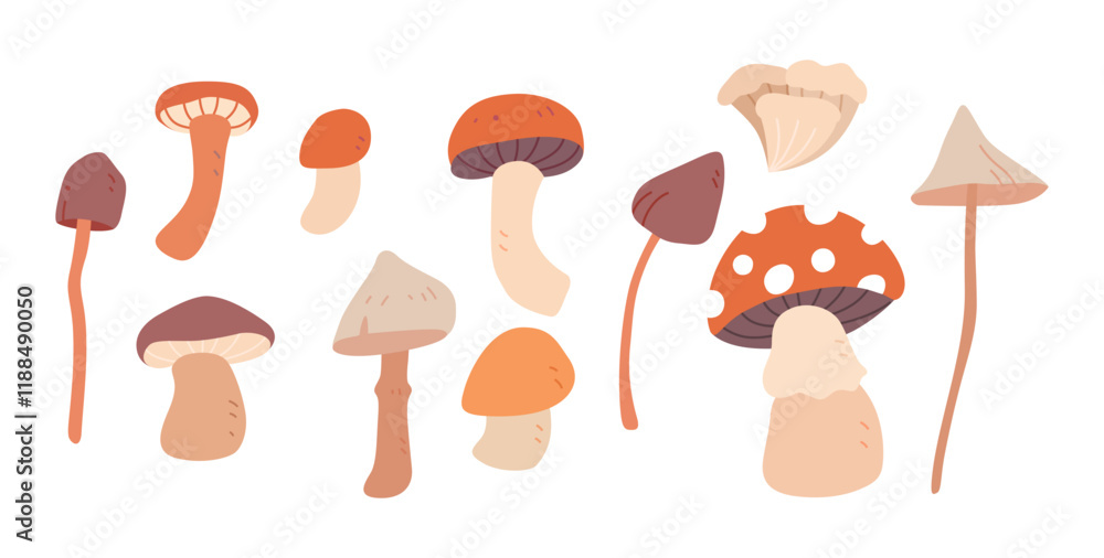 set of mushroom illustration set of mushroom illustration