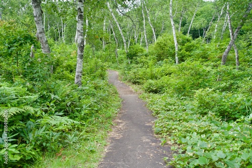 Trekking courses in Nagano's Shiga Kogen Plateau photo