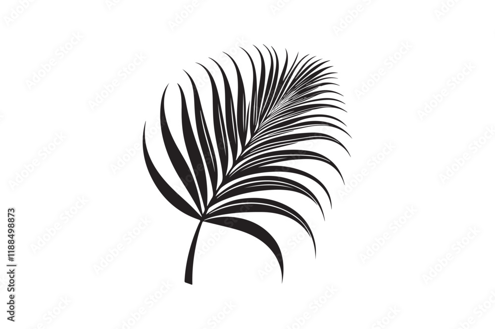 Fototapeta premium A Palm Tree Leaf Silhouette vector 