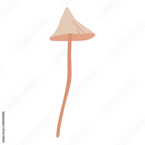 illustration of fungi 