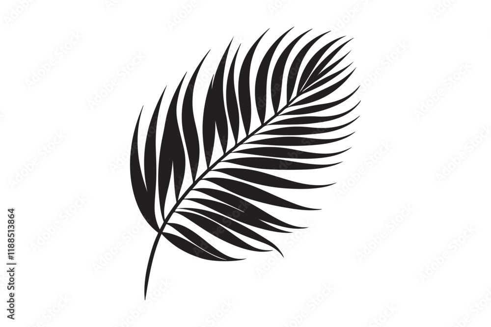 Obraz premium A Palm Tree Leaf Silhouette vector 