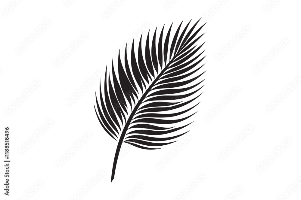 Fototapeta premium A Palm Tree Leaf Silhouette vector