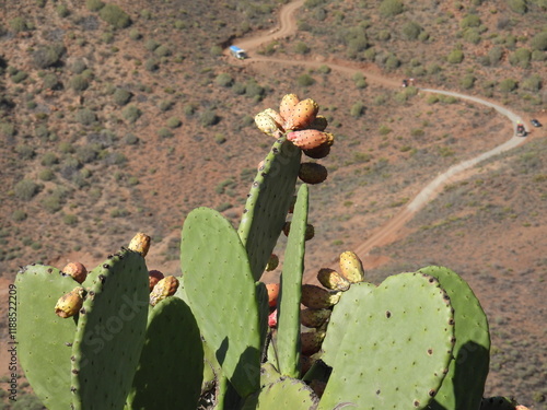 Blick auf die Berglandschaft Gran Canarias photo