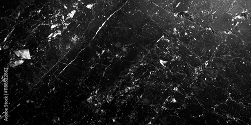 Wallpaper Mural Black marble texture with white natural veins. Torontodigital.ca