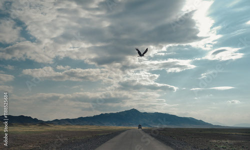 Silhouette of an Eagle flying over a truck driving along a straight road leading to the mountains near Almaty, Kazakhstan photo