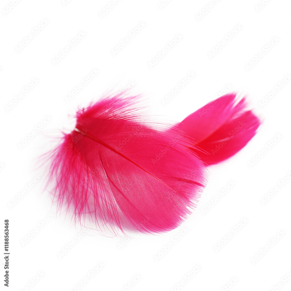 Two fluffy light feathers isolated on white Two fluffy light feathers isolated on white
