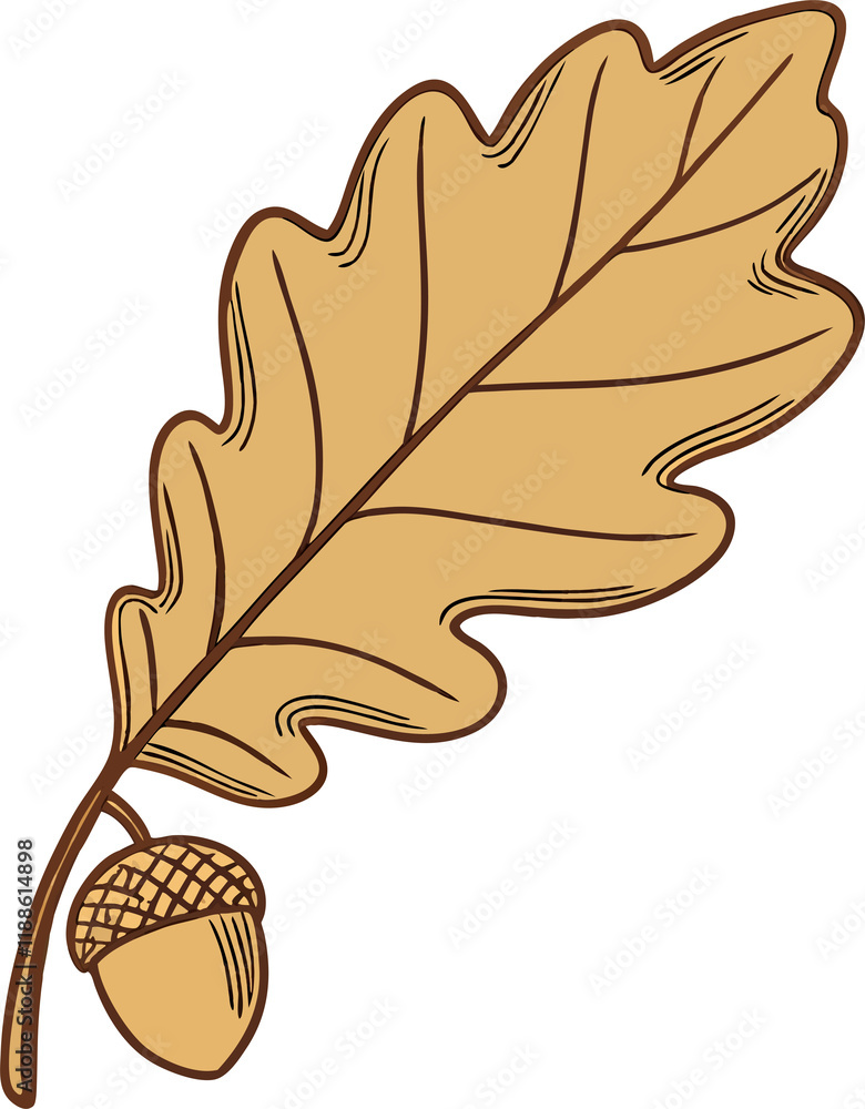 Obraz premium oak leaf and acorn