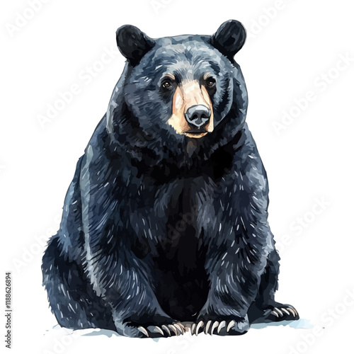 A watercolor vector painting of a black bear, isolated on a white background. Black bear vector.

