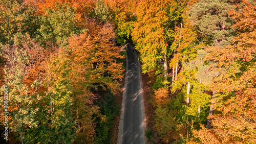 Aerial view of road and mul...