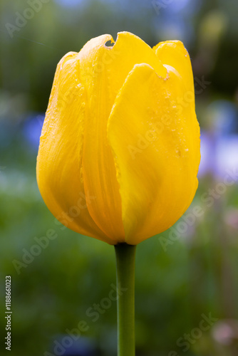 Photos Golden Tulip apeldoorn on the plot of land. close up