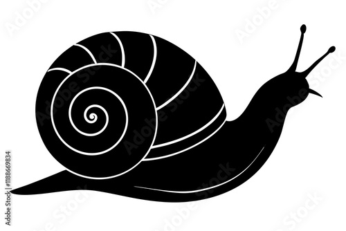 snail silhouette vector, Sea snail vector illustration 