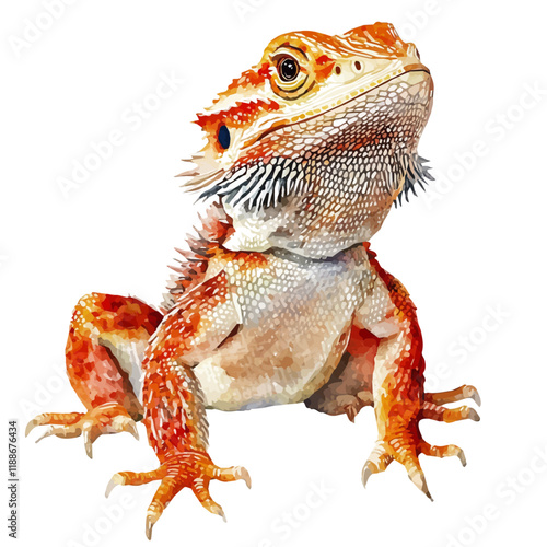 A watercolor vector painting of a bearded dragon, isolated on a white background. Bearded dragon vector.

