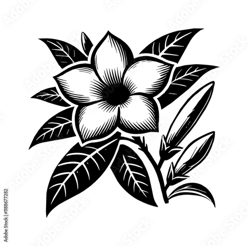 jasmine flower engraving black and white outline