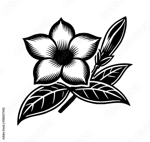 jasmine flower engraving black and white outline