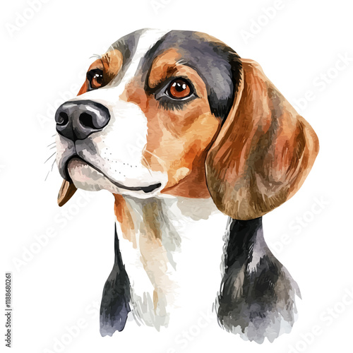 A watercolor vector painting of a beagle, isolated on a white background. Beagle vector.

