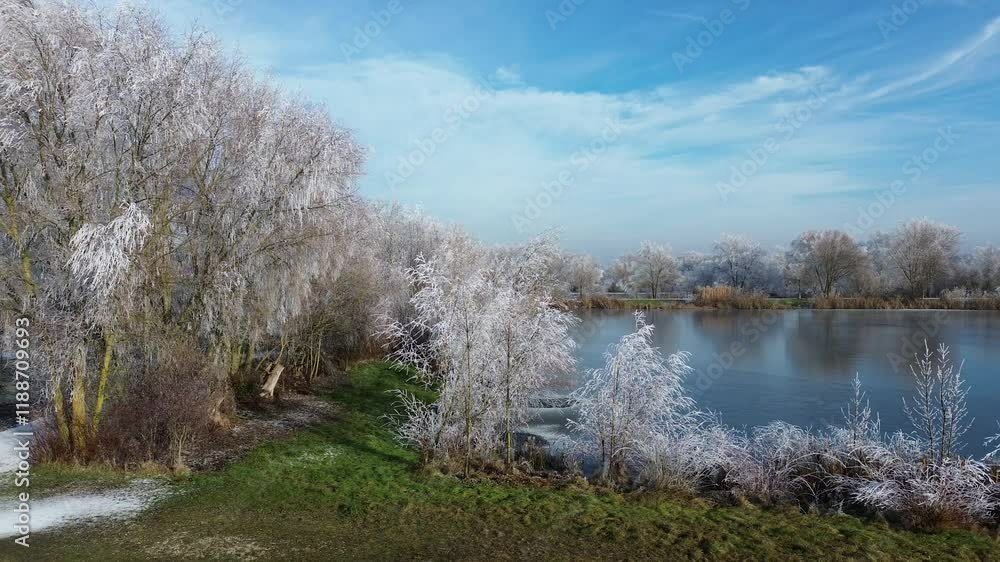 Drone winter view with frozen trees and a pond captured in flight near Sebastianikirchlein Wallersdorf, Dingolfing-Landau, Bavaria, Germany Drone winter view with frozen trees and a pond captured in flight near Sebastianikirchlein Wallersdorf, Dingolfing-Landau, Bavaria, Germany