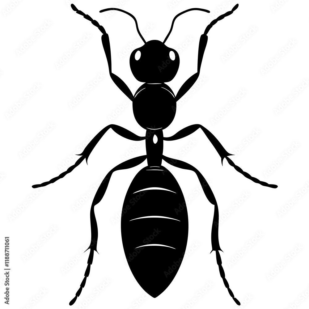Carpenter Ant silhouette vector illustration Carpenter Ant silhouette vector illustration