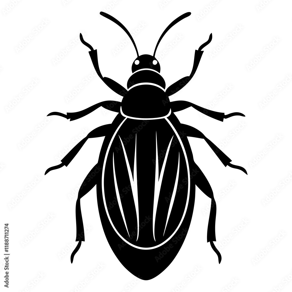 Carpet Beetle silhouette vector illustration Carpet Beetle silhouette vector illustration