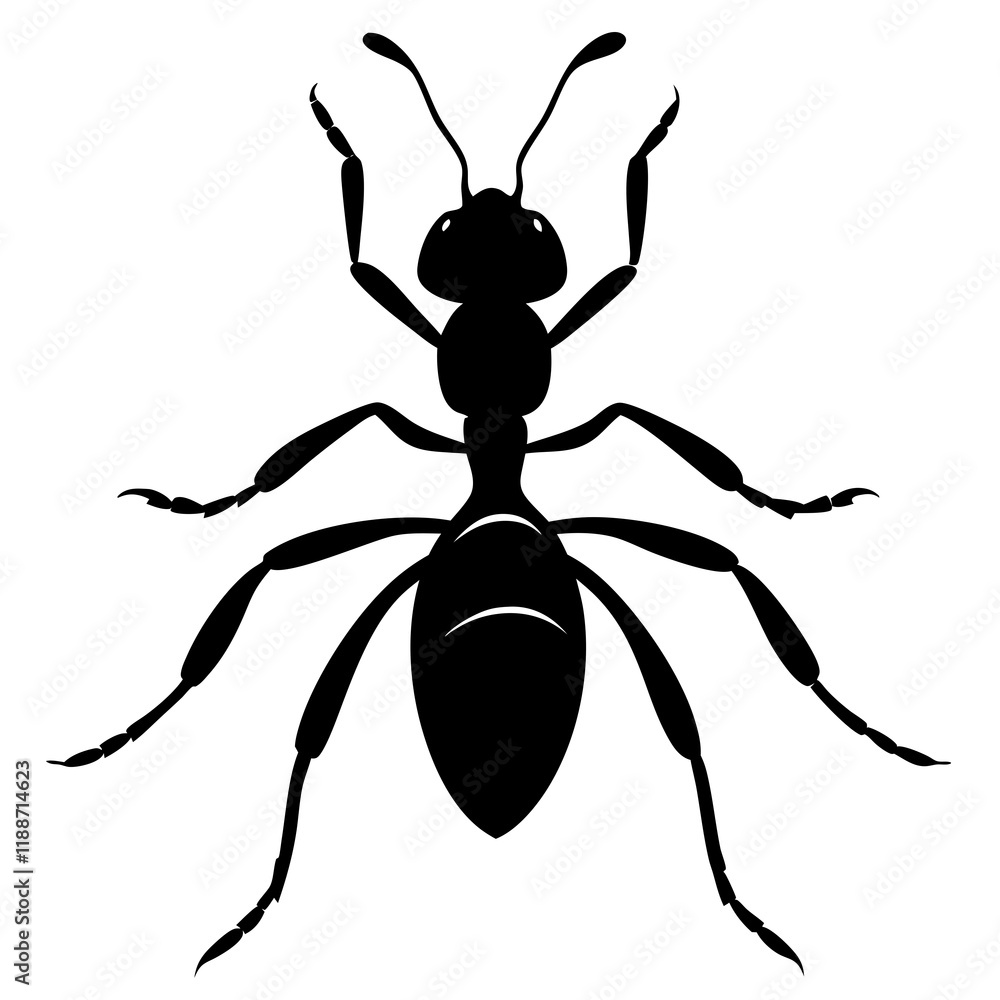 Leafcutter ant silhouette vector illustration Leafcutter ant silhouette vector illustration