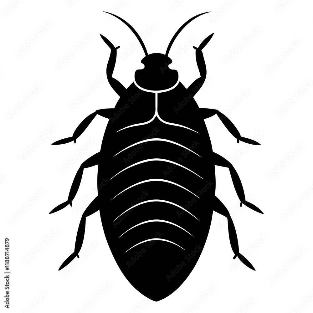Mealybug silhouette vector illustration Mealybug silhouette vector illustration