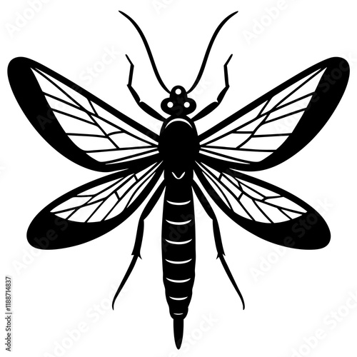 Mayfly silhouette vector illustration  photo