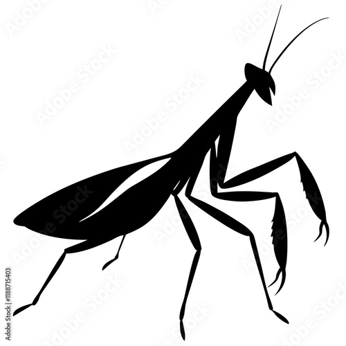Praying manti silhouette vector illustration 