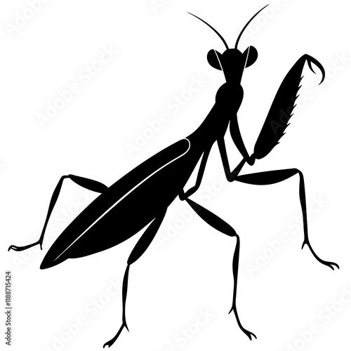 Praying manti silhouette vector illustration 