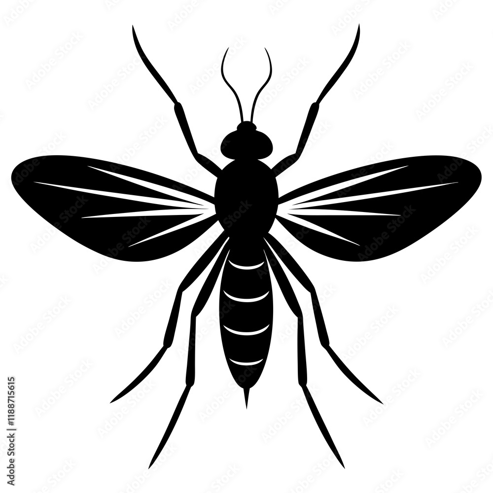 Obraz premium Sandfly silhouette vector illustration