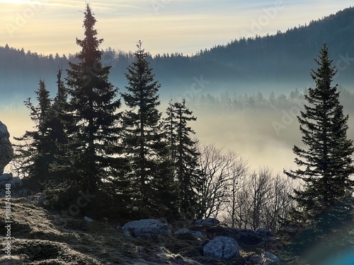 Morning mountain fog and fresh spring atmosphere - Northern Velebit National Park, Croatia (Jutarnja planinska magla i svježi proljetni ugođaj - Nacionalni park Sjeverni Velebit, Hrvatska) photo