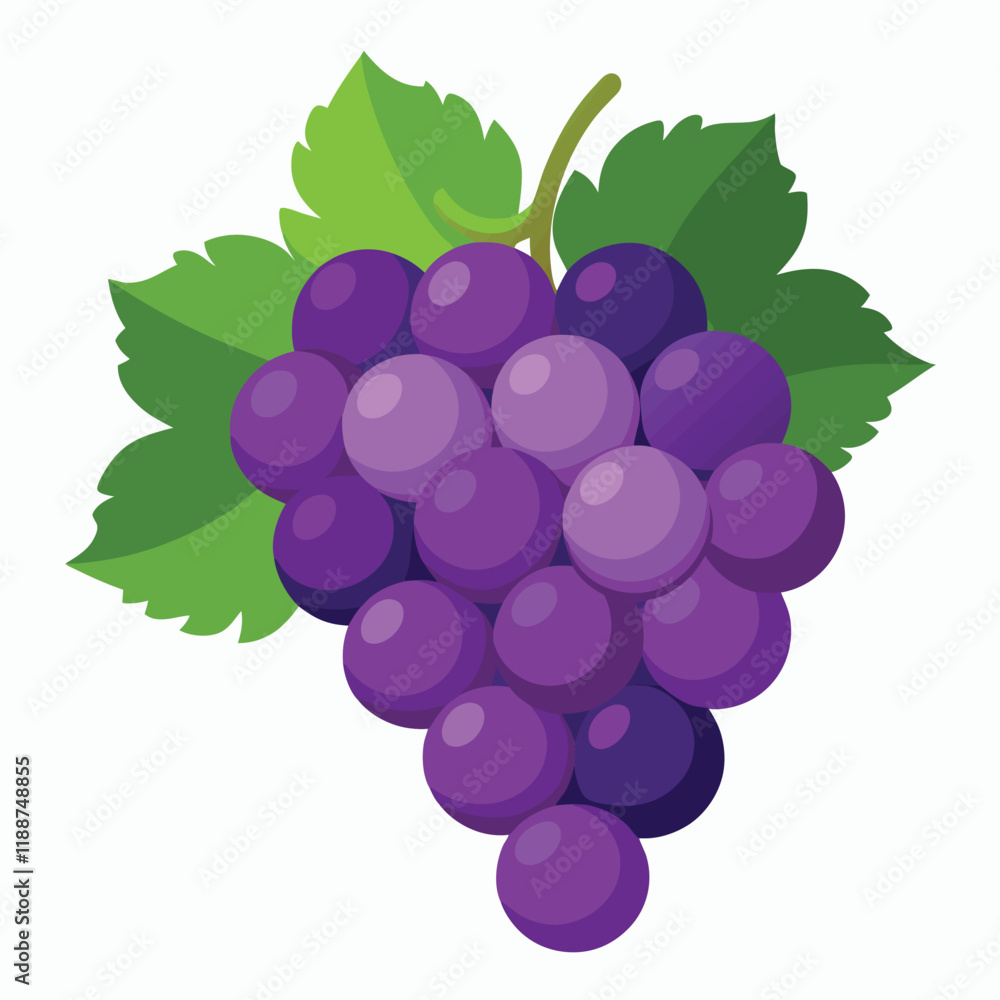 bunch of grapes isolated on white background bunch of grapes isolated on white background