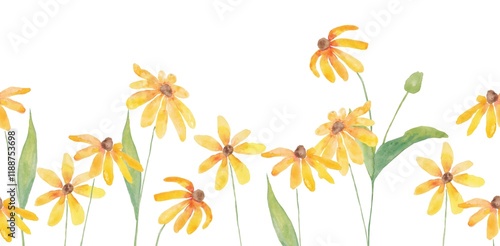 Banner with flowers Yellow black-eyed Susan Daisy watercolor drawing on a white background