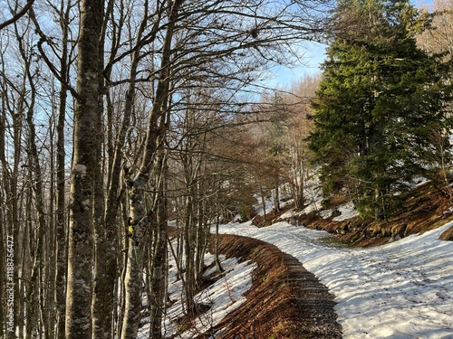 Early spring atmosphere and the last remnants of snow on the mountain road - Northern Velebit National Park, Croatia (Posljednji ostaci snijega na planinskoj cesti - NP Sjeverni Velebit, Hrvatska) photo