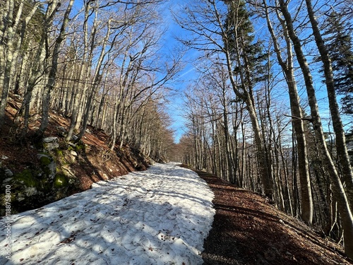 Early spring atmosphere and the last remnants of snow on the mountain road - Northern Velebit National Park, Croatia (Posljednji ostaci snijega na planinskoj cesti - NP Sjeverni Velebit, Hrvatska) photo