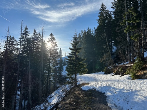 Early spring atmosphere and the last remnants of snow on the mountain road - Northern Velebit National Park, Croatia (Posljednji ostaci snijega na planinskoj cesti - NP Sjeverni Velebit, Hrvatska) photo