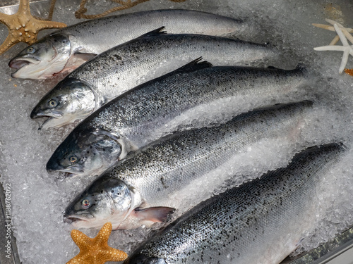 Fresh fish on counter with ...