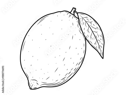 Detailed Hand-Drawn Lemon Sketch Vector: Whole Citrus Fruits with Leaves and Sliced Wedges Isolated on White Background – Perfect for Vegan Cuisine and Nature-Inspired Design Projects.