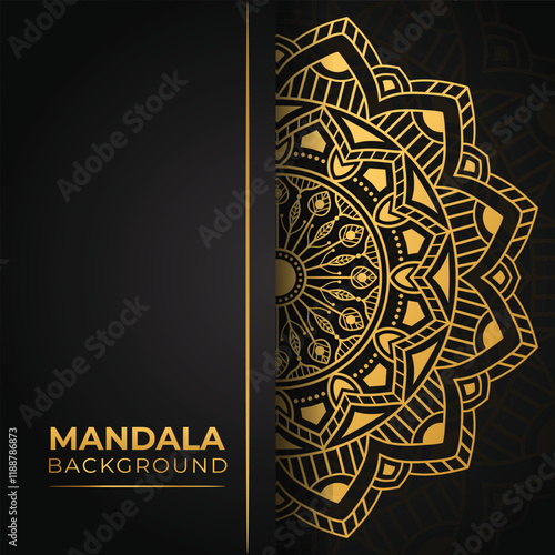 Luxury mandala vector illustration on dark background