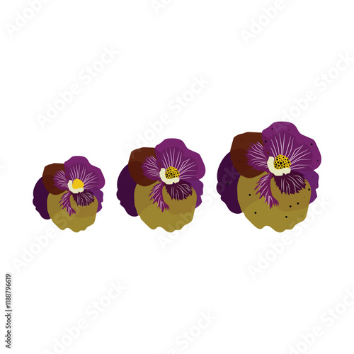 Set of multipole cute pansy colorful flower set on white background vector art photo