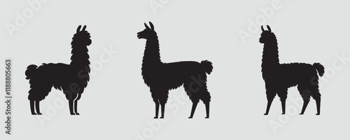 Three llama silhouettes in various standing positions, featuring woolly bodies and upright ears, displayed on a simple gray background in a minimalist vector style