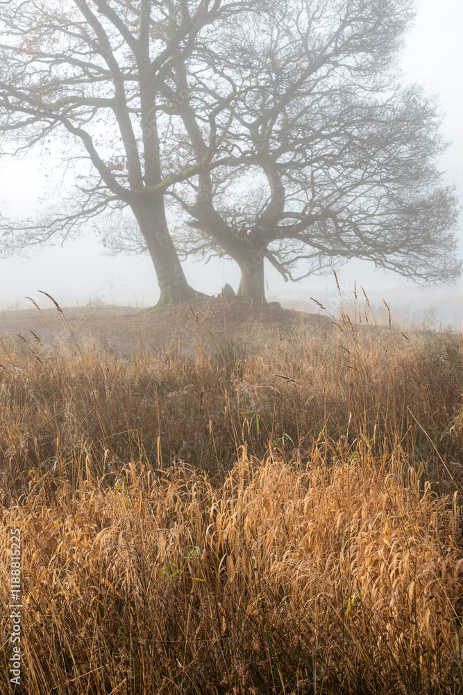 Stunning dramatic atmospheric sunrise landscape image of foggy morning at Elter Water around River Brathay in Lake District Stunning dramatic atmospheric sunrise landscape image of foggy morning at Elter Water around River Brathay in Lake District
