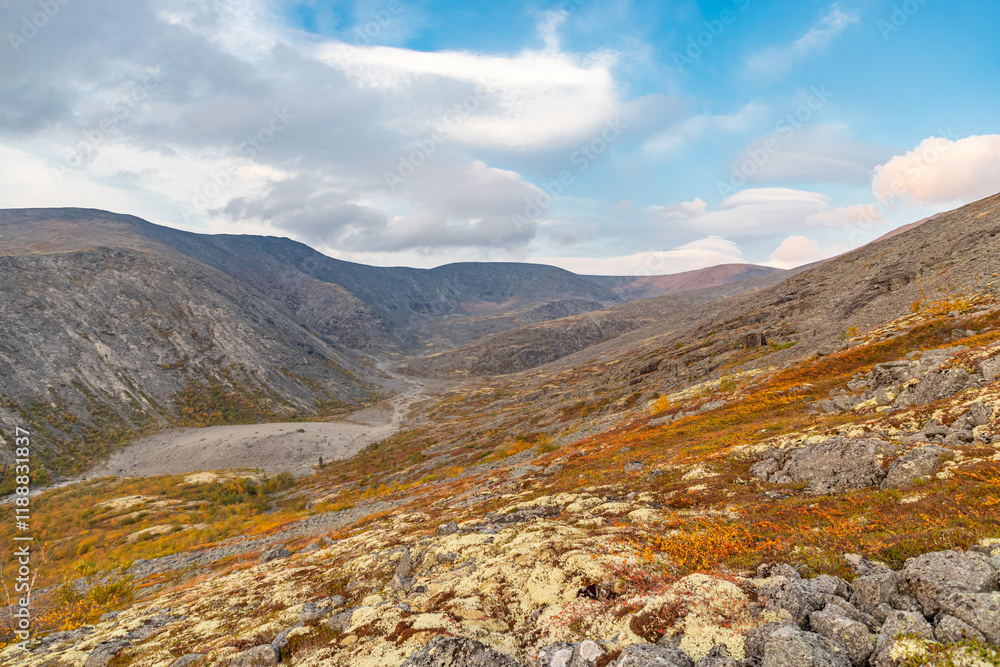 View to Mannepakhp river valley at Khibiny mountains. Stones and small trees. Early autumn in arctic tundra region. Kola peninsula, Murmansk region, Russia.