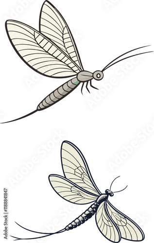 Mayfly bundle design art and illustrator eps