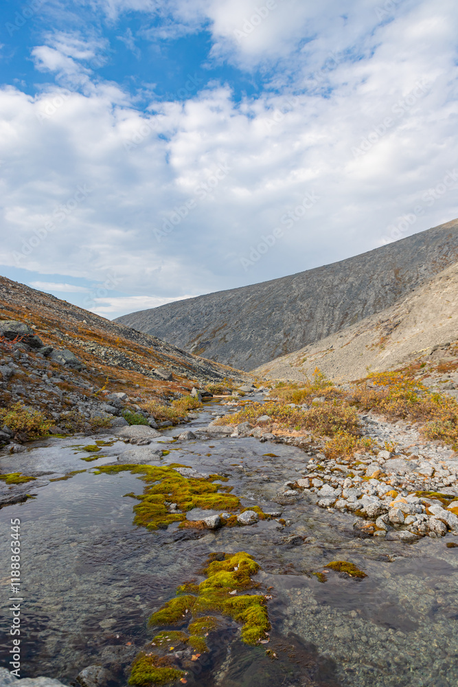View to Mannepakhp river valley at Khibiny mountains. Stones and small trees. Early autumn in arctic tundra region. Kola peninsula, Murmansk region, Russia.