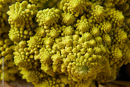 Romanesco cabbage. High quality photo.